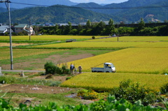 のどか～
