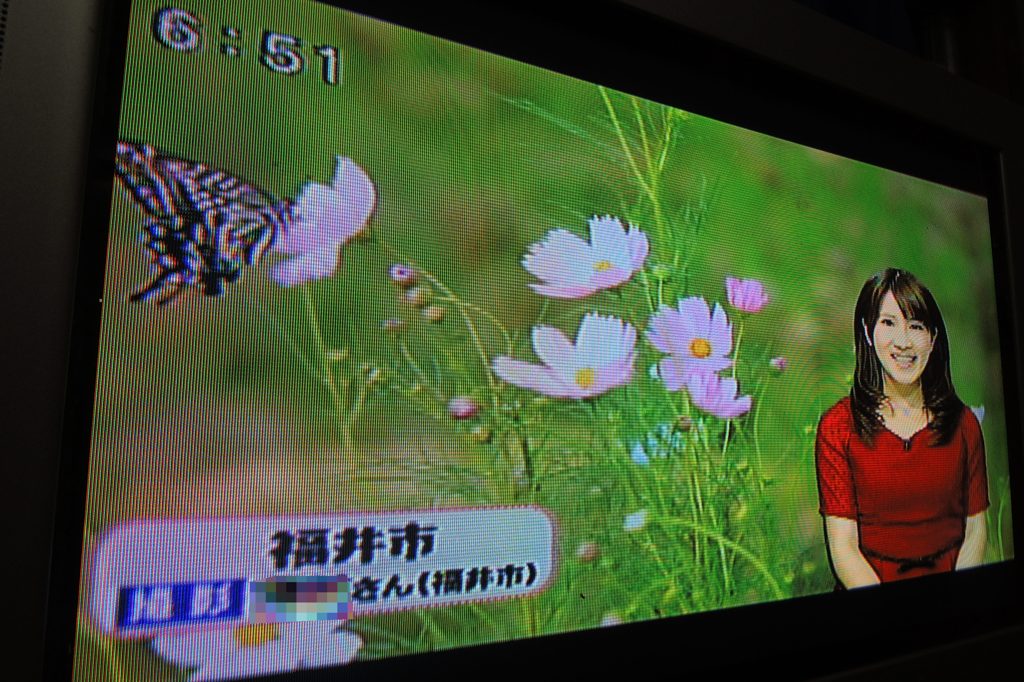やったー!