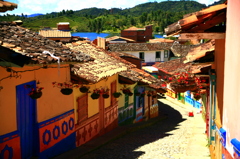 Colorful City