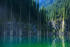 山奥の湖