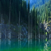 山奥の湖