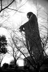 枝