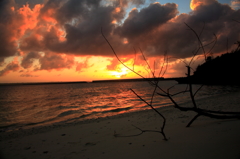 嵐の前の夕景
