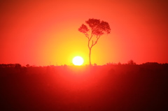 大地と太陽