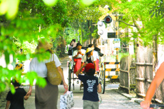 嵐山のひと時