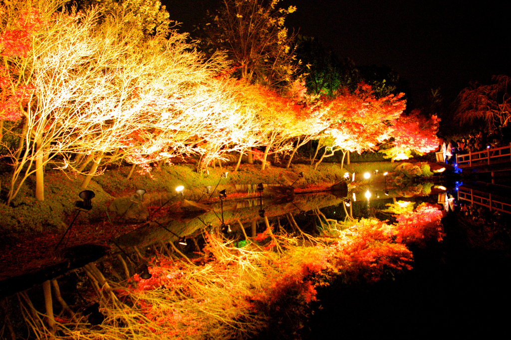 鏡池の紅葉