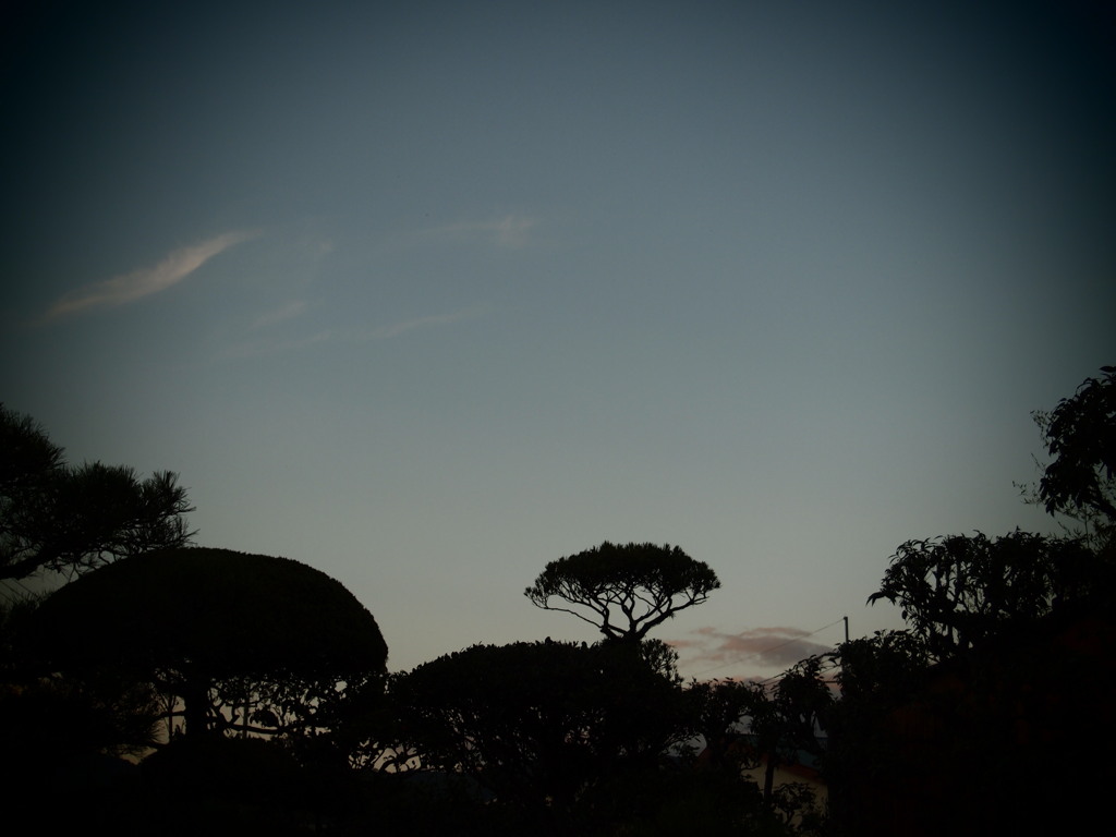 夕方の空