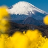 吾妻山公園