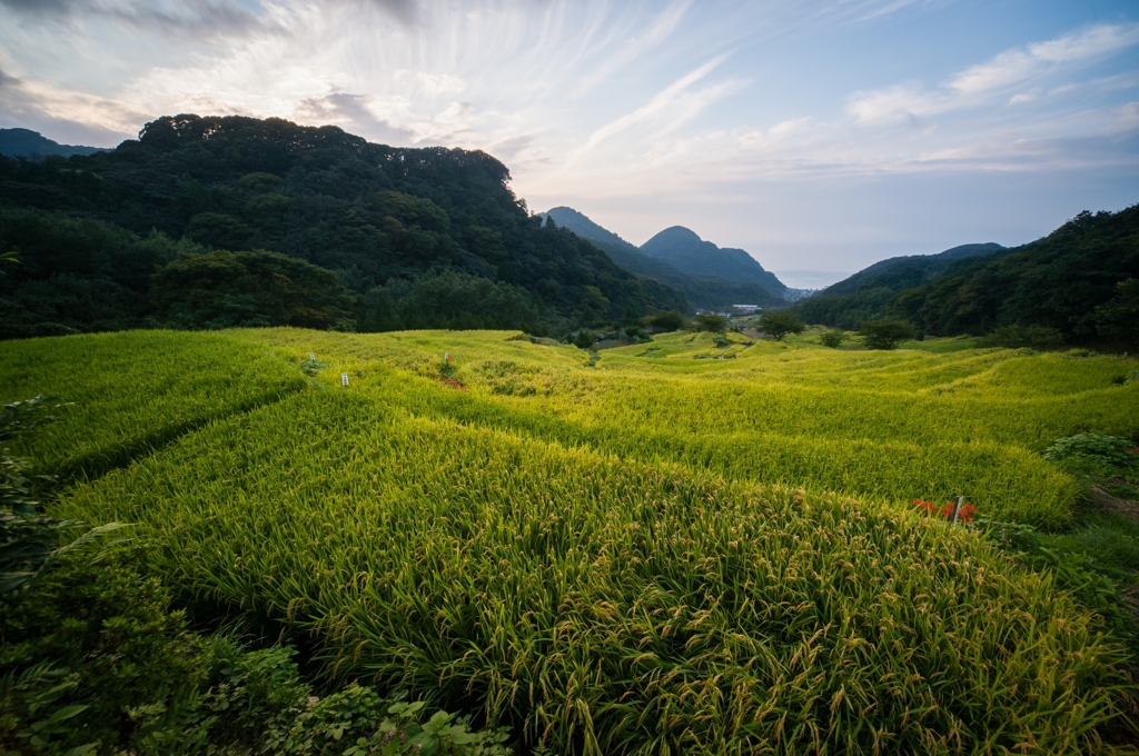 秋津島