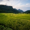 秋津島