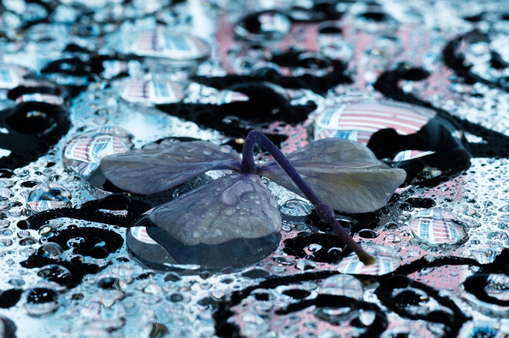 梅雨