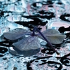梅雨