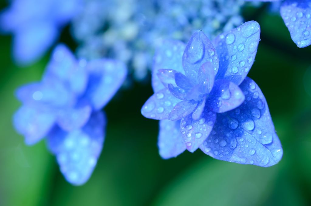 雨の日　３