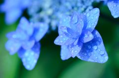 雨の日　３