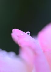 一粒　Ⅰ