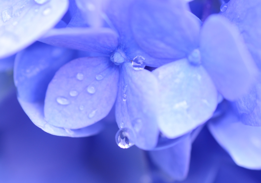 水色の雨