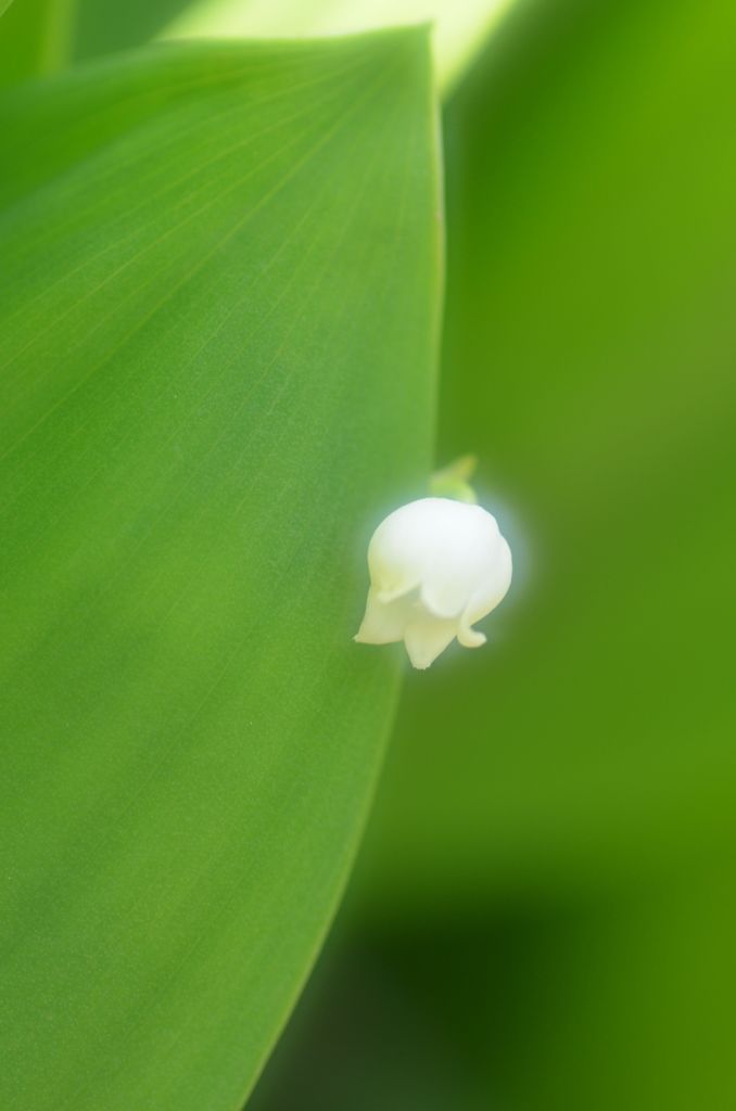 こっそり