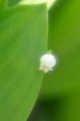 こっそり
