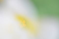 かくれんぼ