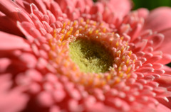 お家でマッタリ２　