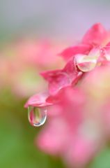 雨の日　４
