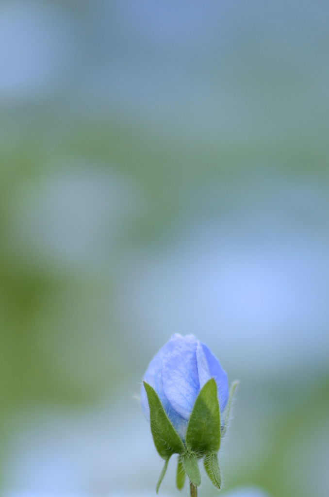 一人たたずむ