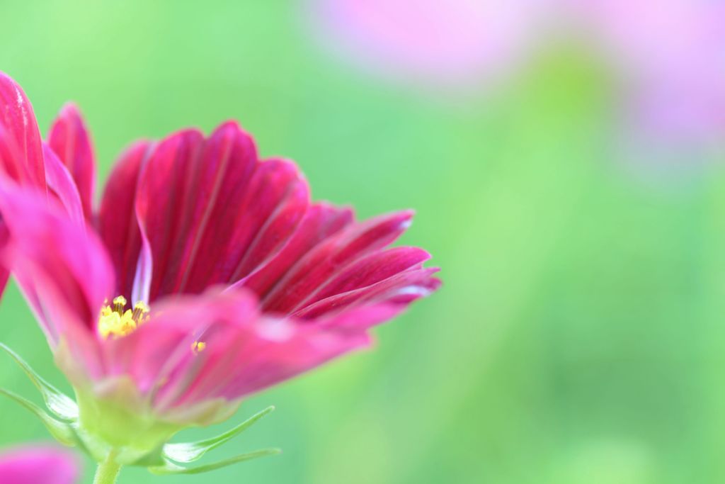 あなたの出番です。