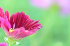 あなたの出番です。