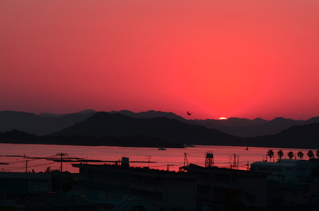 我が家の夕日２