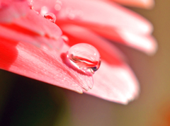 何を占いましょうか？