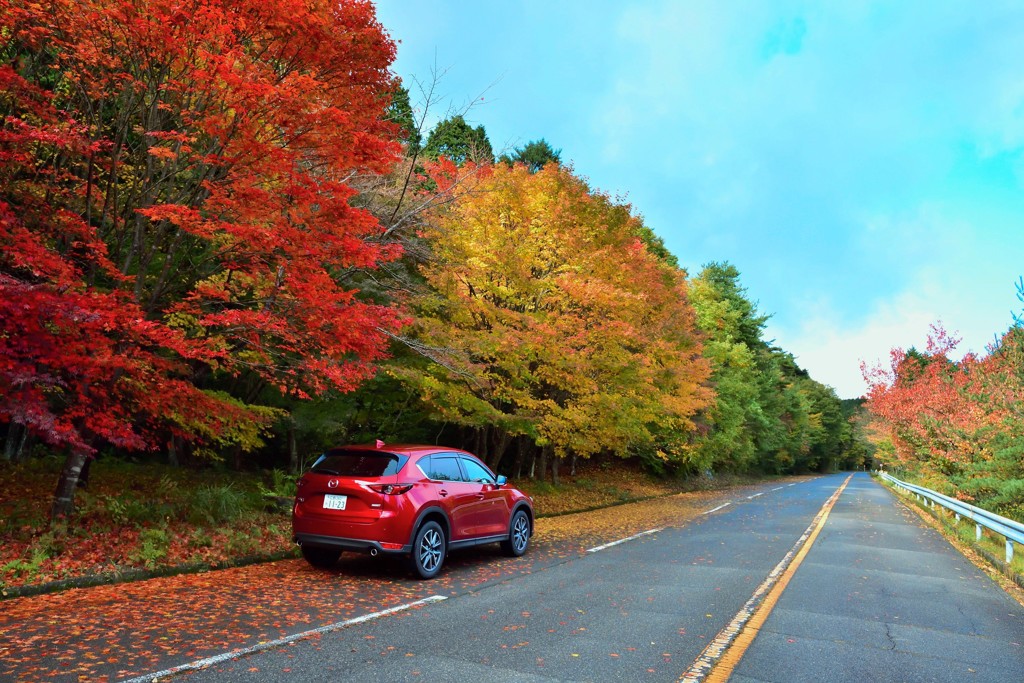 CX-5と紅葉