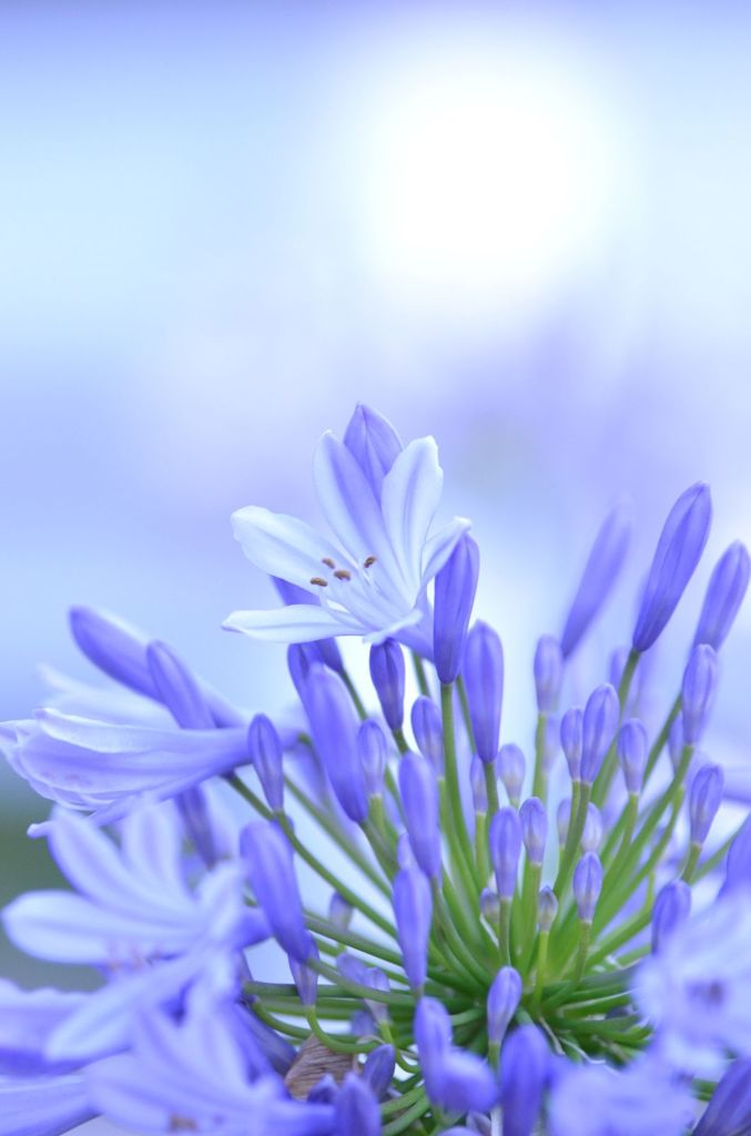 ブルーな世界１