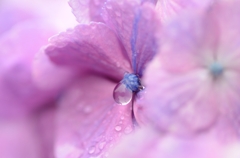 雨の日　５
