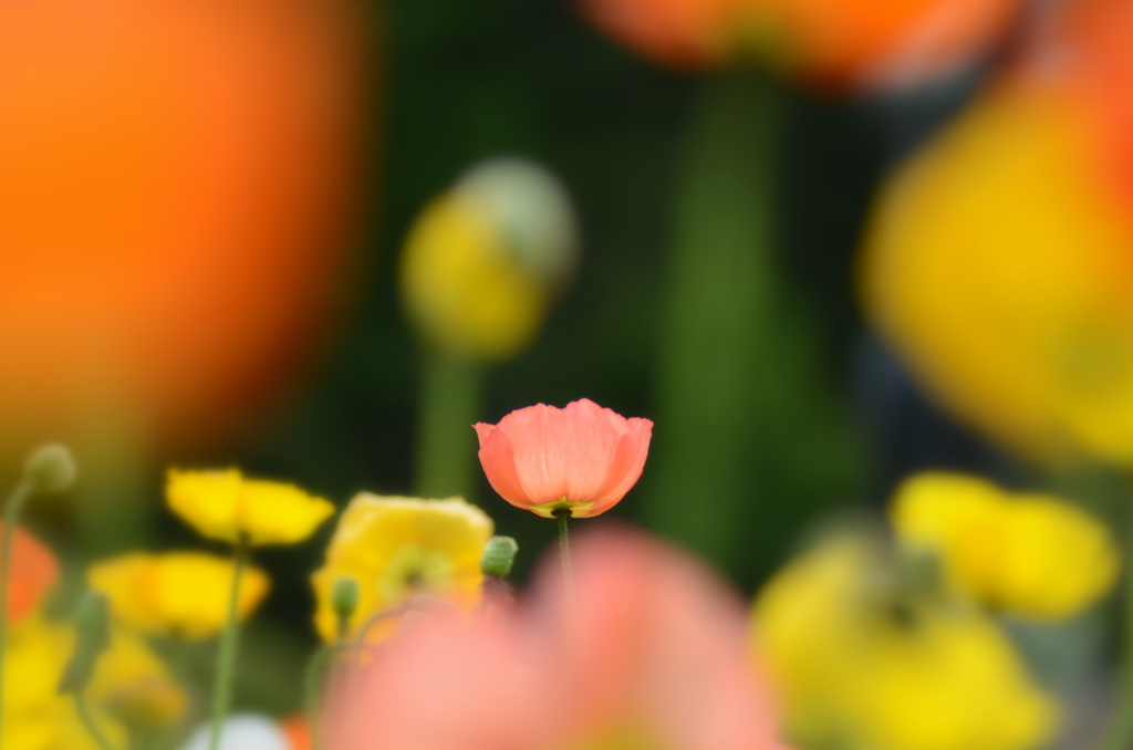 良い人いないかな？