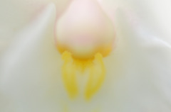 思わず入ってしまいそう。。。