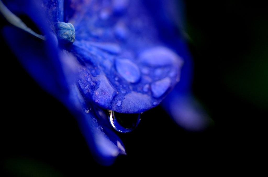ＵＮＤＥＲ　ＢＬＵＥ
