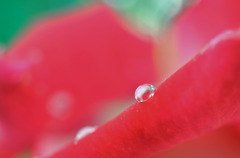 雨上がり