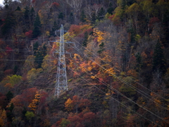 さっぽろ湖第四展望台からの紅葉２