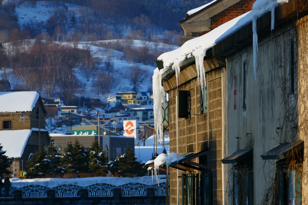小樽運河の氷柱
