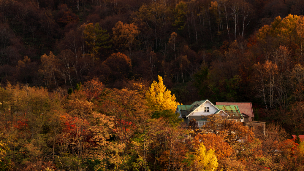 和光荘の紅葉