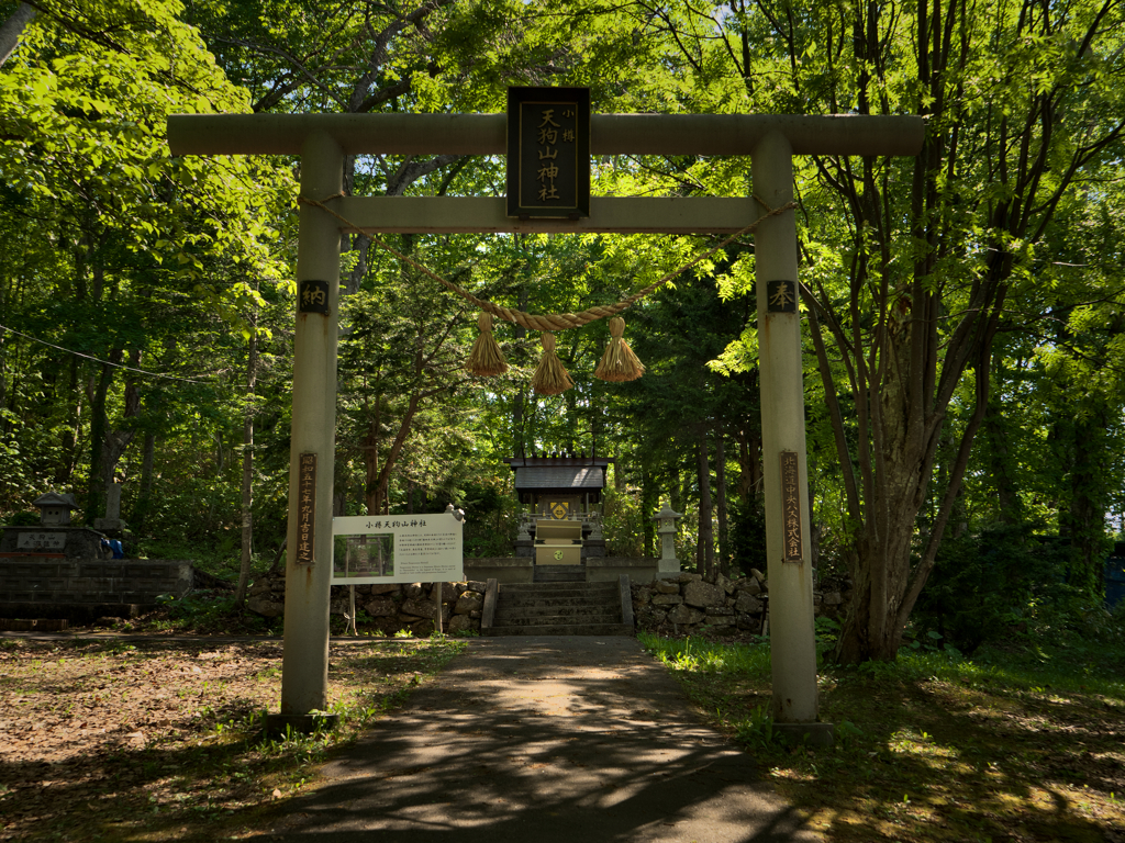 小樽天狗山神社