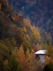 さっぽろ湖第四展望台からの紅葉１