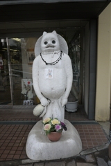 センバヤマのたぬき