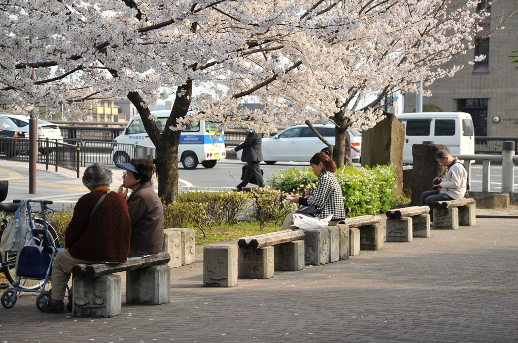 それぞれの花見
