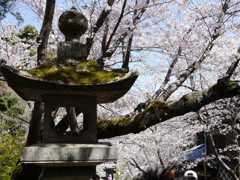 大村公園