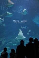 marine world