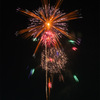 fire flower