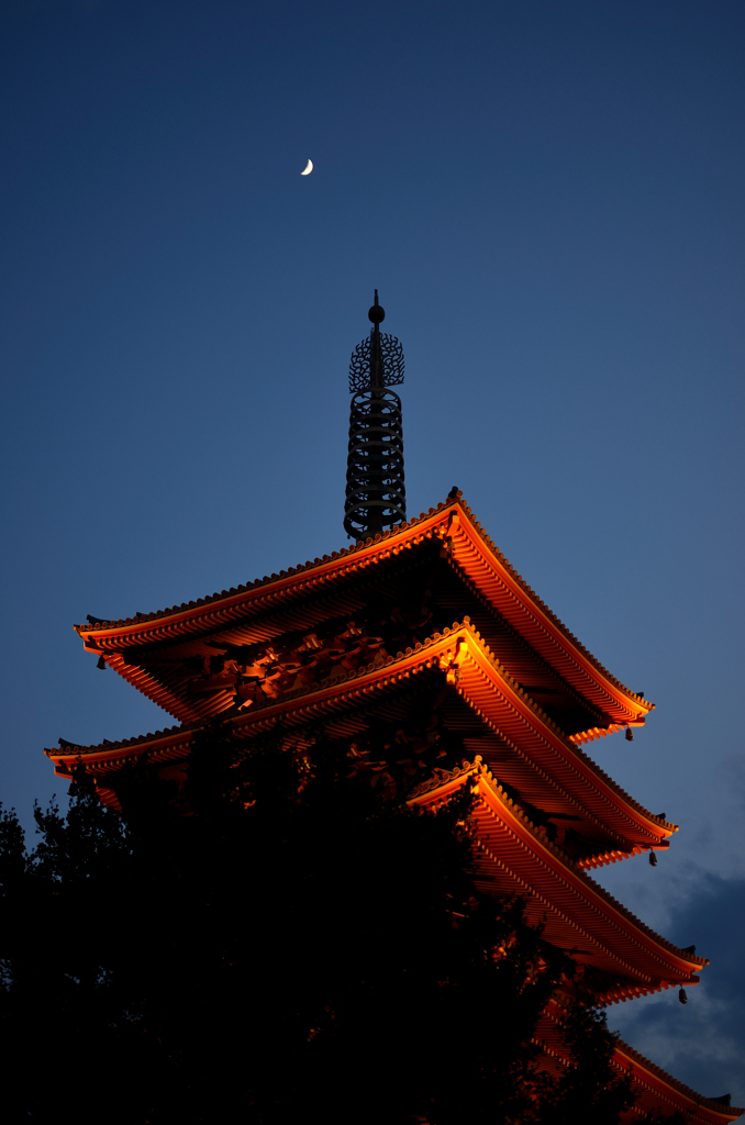 五重塔と月