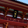 鶴岡八幡宮