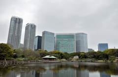 浜離宮庭園と汐留ビル群
